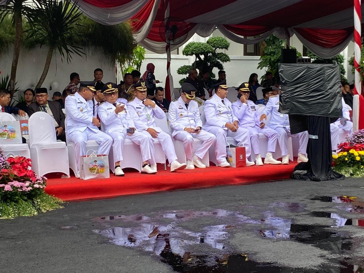 439683716 817063570455483 1528788407888514831 n