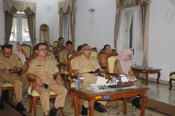 442466019 828328202662353 5115815999332990298 n