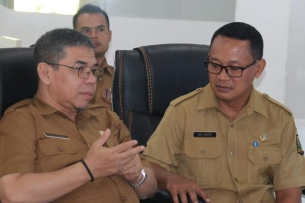 448953255 854831540012019 6649113788593645015 n