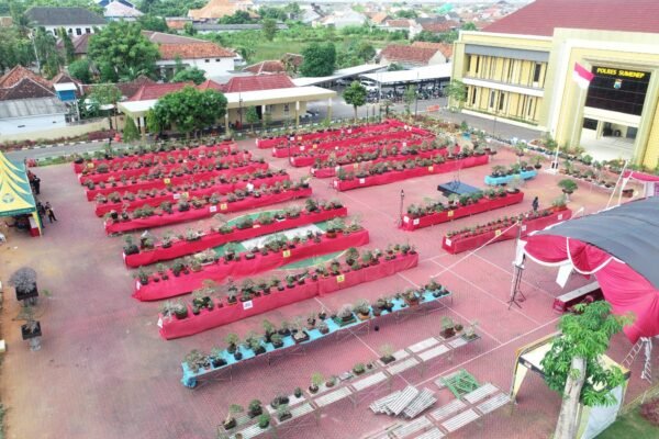 WhatsApp Image 2024 06 21 at 14.13.52