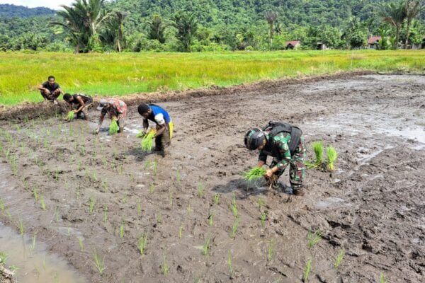 WhatsApp Image 2024 07 02 at 12.25.21