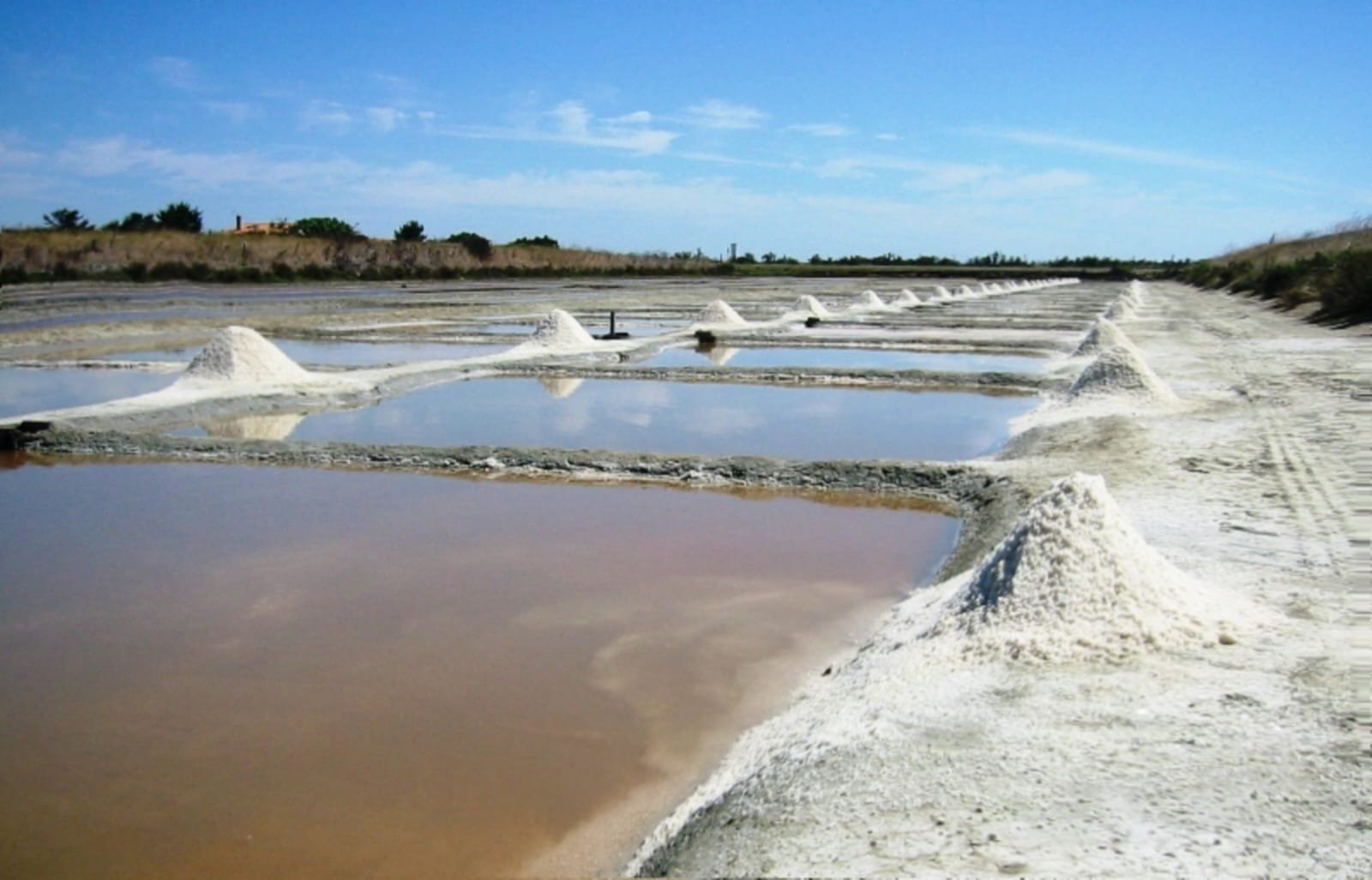 Dugaan Penyelewengan Kontrak Sewa Menyewa Lahan Garam Yang Menghasilkan Milyaran Rupiah 1 WhatsApp Image 2024 07 17 at 08.17.09