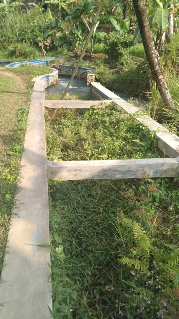 WhatsApp Image 2024 08 15 at 17.28.48