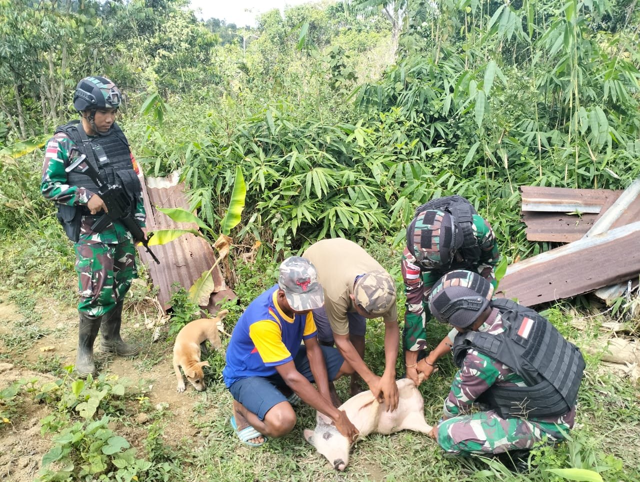 WhatsApp Image 2024 09 11 at 10.59.14