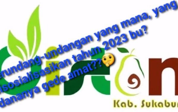 WhatsApp Image 2024 09 12 at 14.14.39