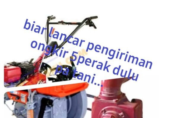 WhatsApp Image 2024 09 13 at 13.27.09