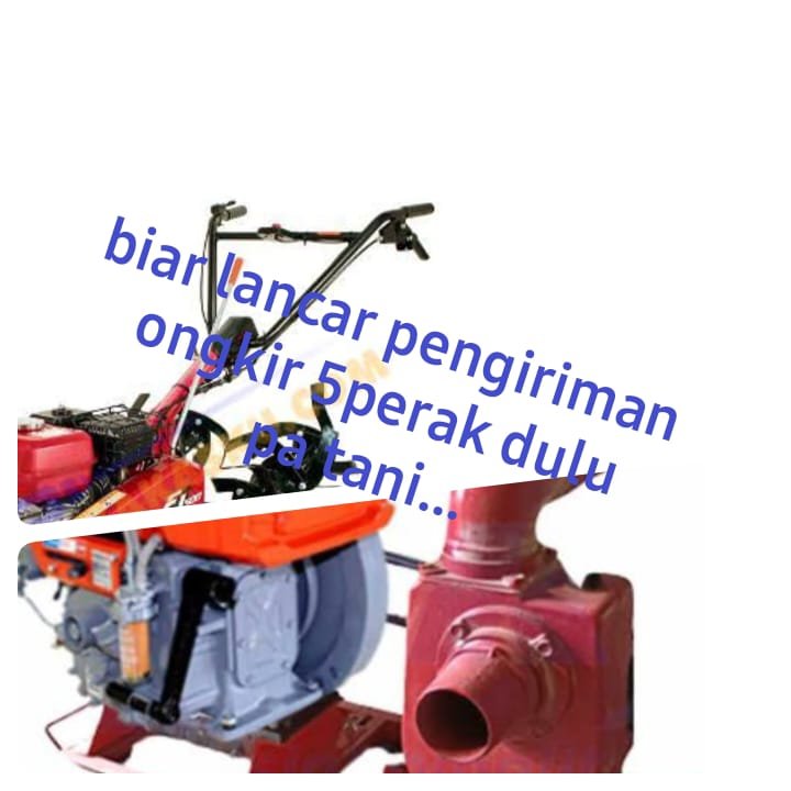 WhatsApp Image 2024 09 13 at 13.27.09