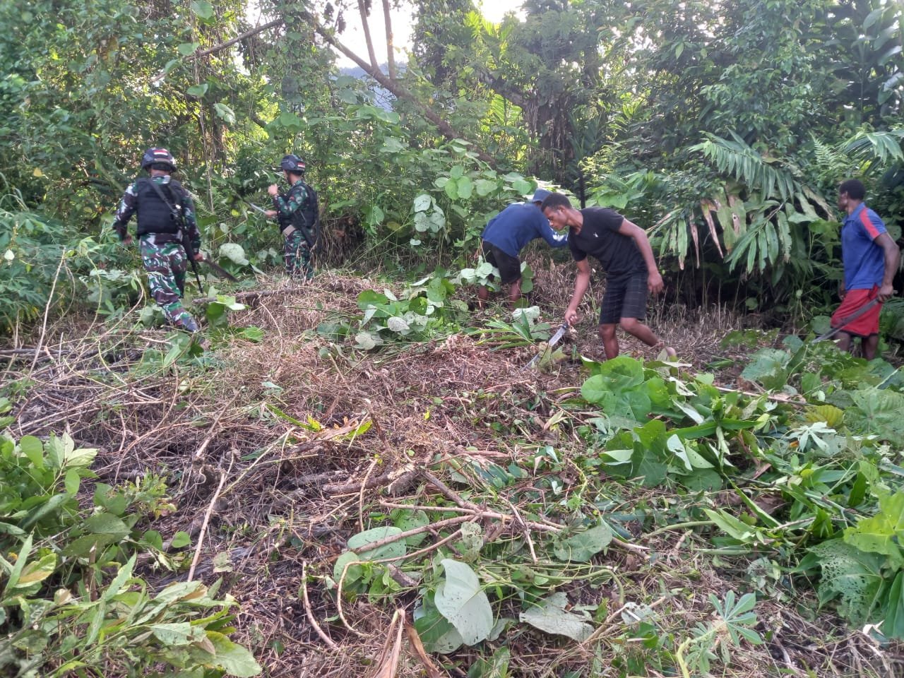Satgas Yonif 310/KK Bantu Warga Buka Lahan Untuk Berkebun 1 WhatsApp Image 2024 09 14 at 08.12.30