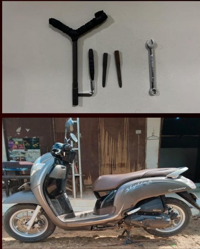 WhatsApp Image 2024 09 14 at 10.27.10