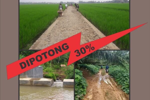 WhatsApp Image 2024 09 14 at 12.37.46