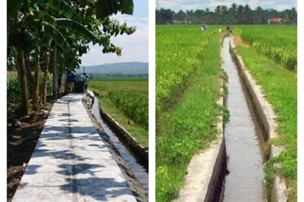 WhatsApp Image 2024 09 23 at 09.45.12