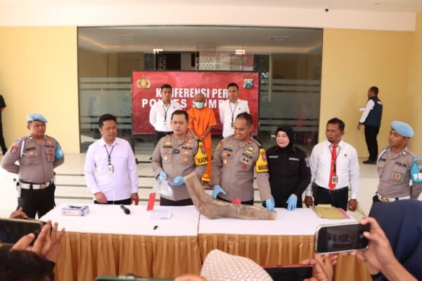 WhatsApp Image 2024 09 23 at 10.34.12