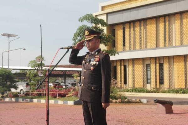 WhatsApp Image 2024 10 01 at 09.13.10