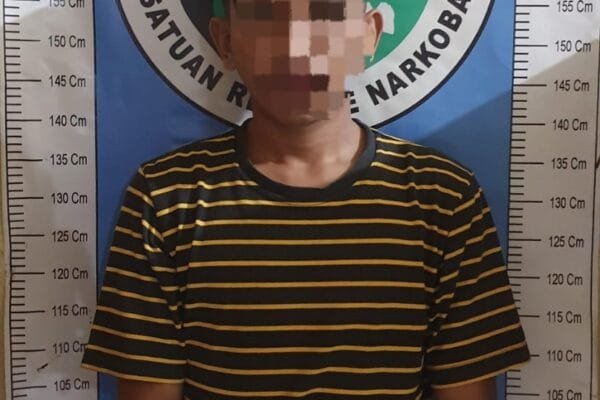 WhatsApp Image 2024 10 01 at 09.27.08 e40a1ae4