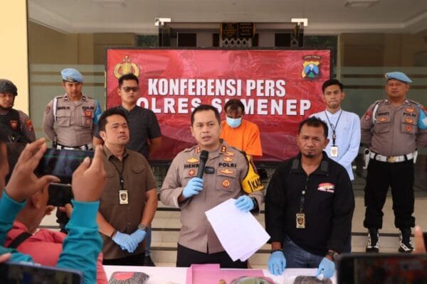 WhatsApp Image 2024 10 10 at 20.49.36