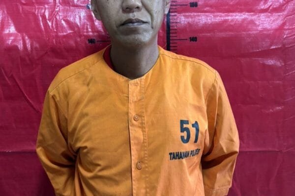 WhatsApp Image 2024 10 23 at 14.42.29