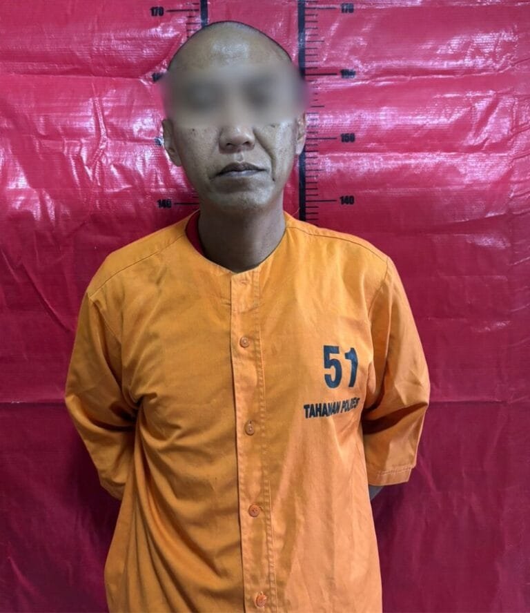 WhatsApp Image 2024 10 23 at 14.42.29