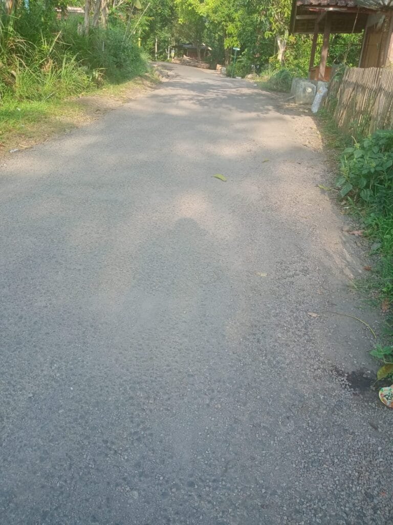 WhatsApp Image 2024 11 03 at 11.48.05 1 1