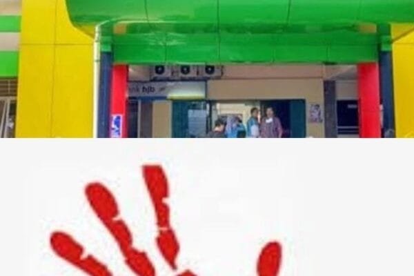 23f1a0fa b8ee 4ad6 a824 79e4560d96f5