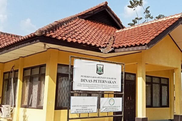 WhatsApp Image 2024 12 04 at 09.24.35