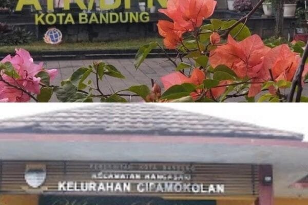 WhatsApp Image 2024 12 10 at 09.59.26