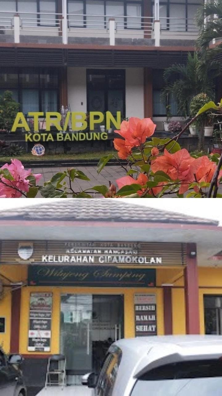 WhatsApp Image 2024 12 10 at 09.59.26