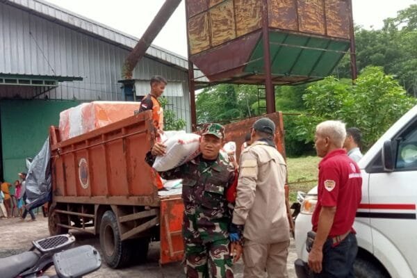 WhatsApp Image 2024 12 12 at 15.26.35