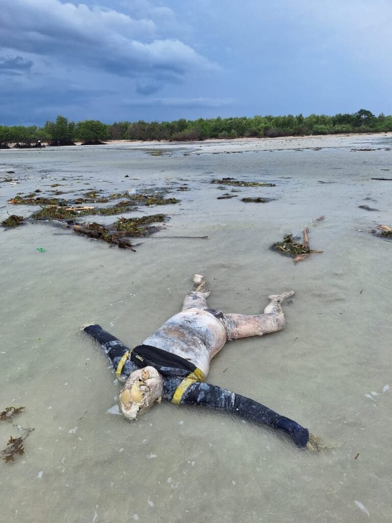 WhatsApp Image 2024 12 21 at 18.02.15