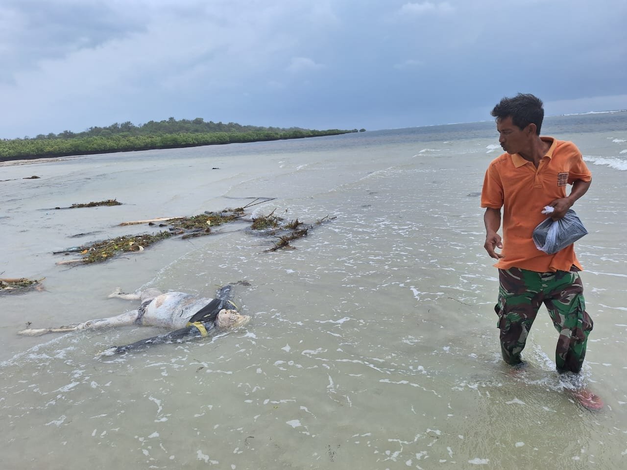 WhatsApp Image 2024 12 21 at 18.02.16