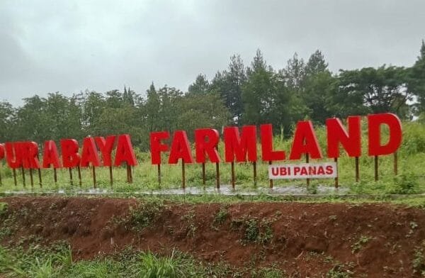 WhatsApp Image 2024 12 27 at 16.21.43