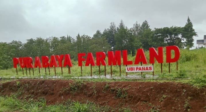 WhatsApp Image 2024 12 27 at 16.21.43