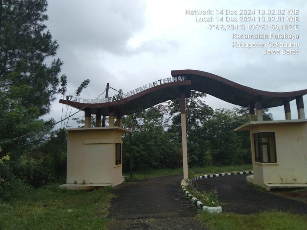 WhatsApp Image 2024 12 27 at 16.30.55