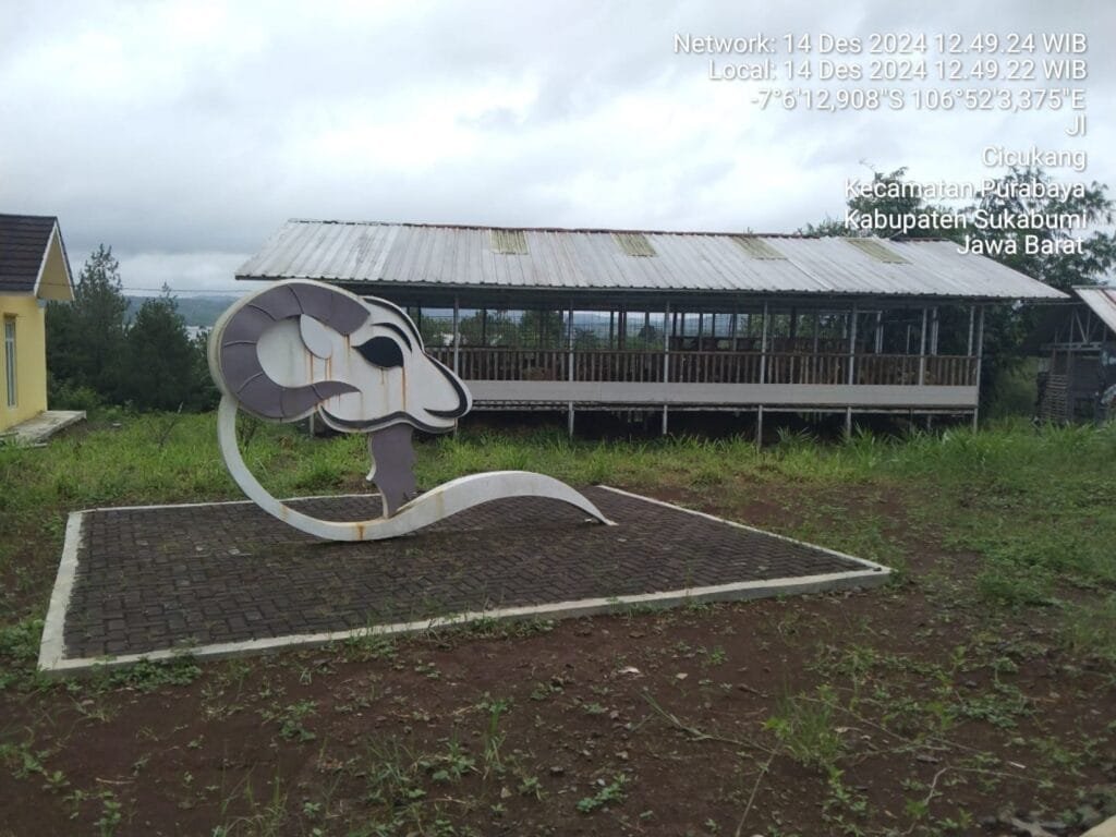 WhatsApp Image 2024 12 27 at 16.30.55 3