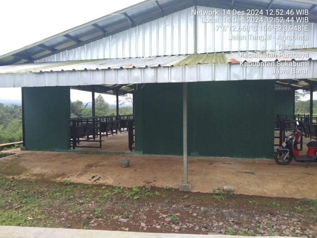 WhatsApp Image 2024 12 27 at 16.30.55 4 1