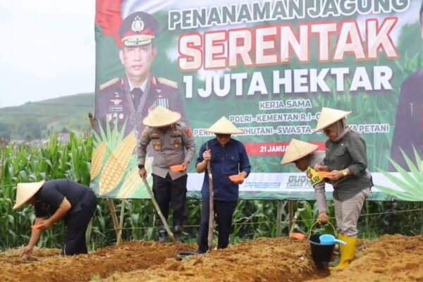 474688626 1001236415371530 3067379527043357291 n