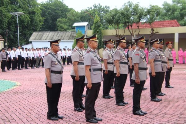 WhatsApp Image 2025 01 02 at 09.28.52