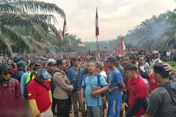 WhatsApp Image 2025 01 03 at 20.11.18