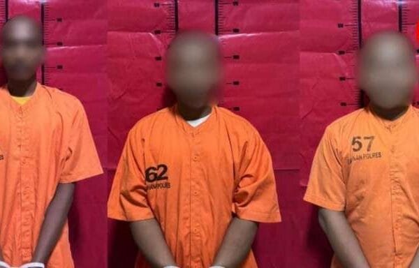 WhatsApp Image 2025 01 07 at 19.29.16