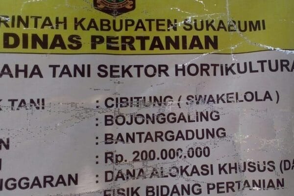 WhatsApp Image 2025 01 17 at 19.48.21 1 1