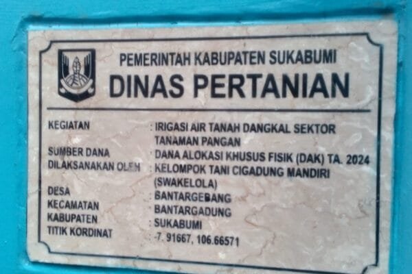 WhatsApp Image 2025 01 20 at 14.26.00