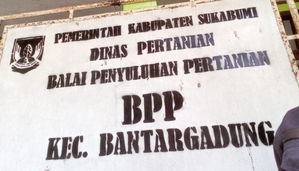 WhatsApp Image 2025 01 23 at 18.13.45 e1737634705986