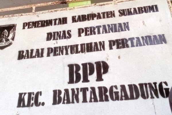 WhatsApp Image 2025 01 23 at 18.13.45 e1737634705986