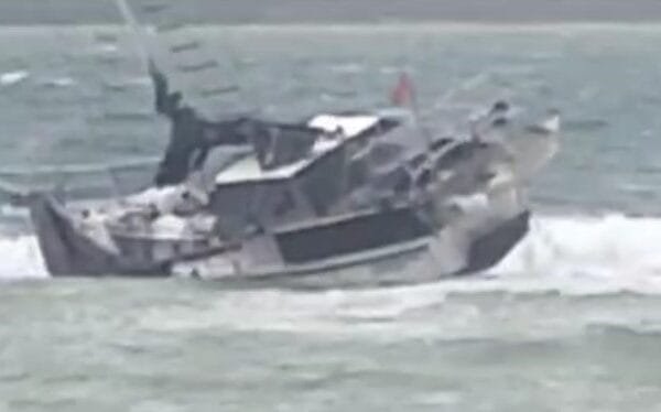 WhatsApp Image 2025 01 30 at 11.25.54