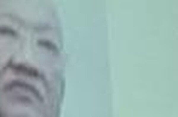 paulus tannos dok detikcom 169