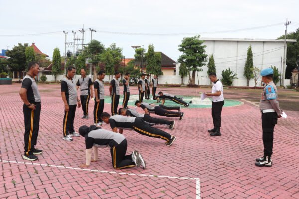 WhatsApp Image 2025 02 07 at 15.09.33 ddcdb00e