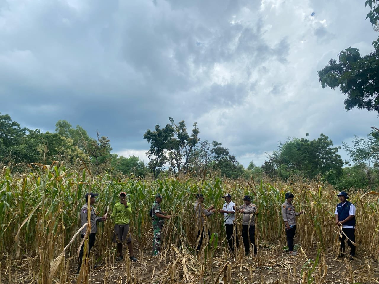 61a246d2 7671 4419 9acd 90be6df1f441