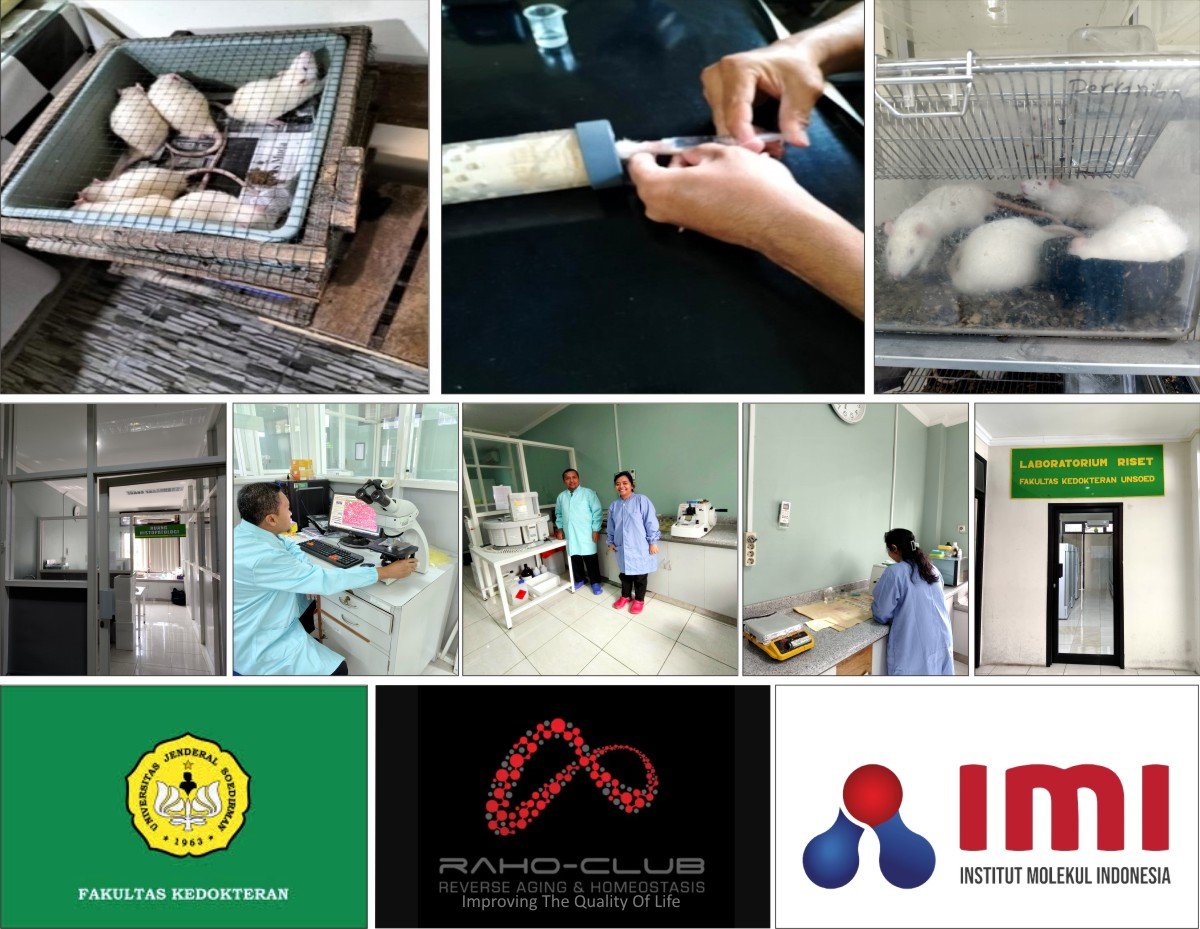 69815b85 9f91 4ac0 82b9 6496c98ee996