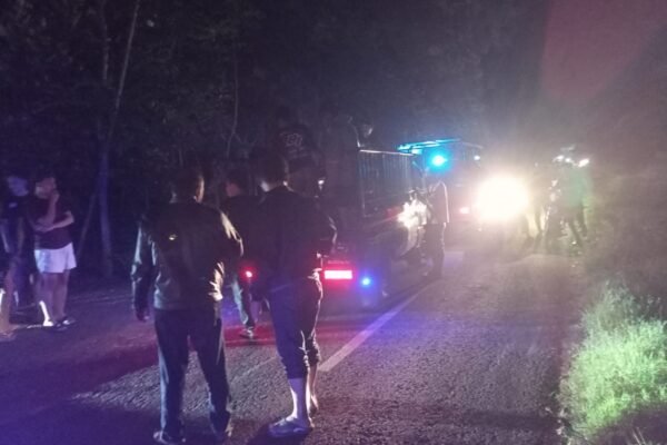 7d251174 fe29 4b96 b177 0c950b978534