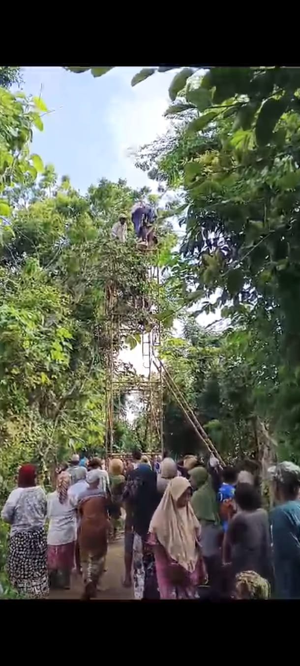 Nahas! Pria di Talango Tersengat Listrik Saat Mencari Pakan Ternak di Atas Pohon 1 8ed4ace2 6567 49ae 8967 0ee081f3b766