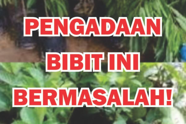 BIBIT
